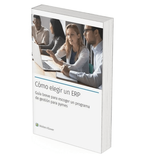 cómo elegir erp